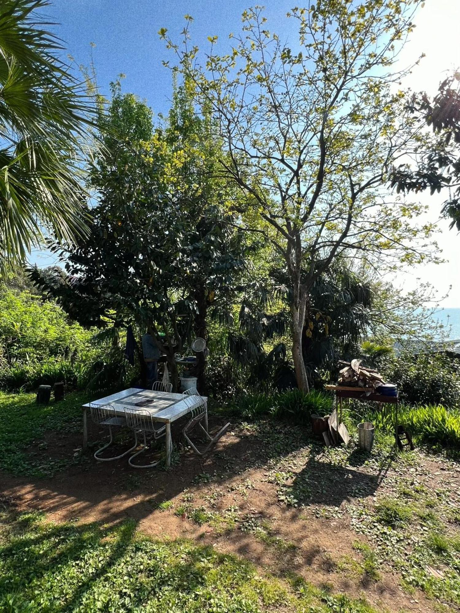 Guesthouse Eco Chakvi Exteriér fotografie