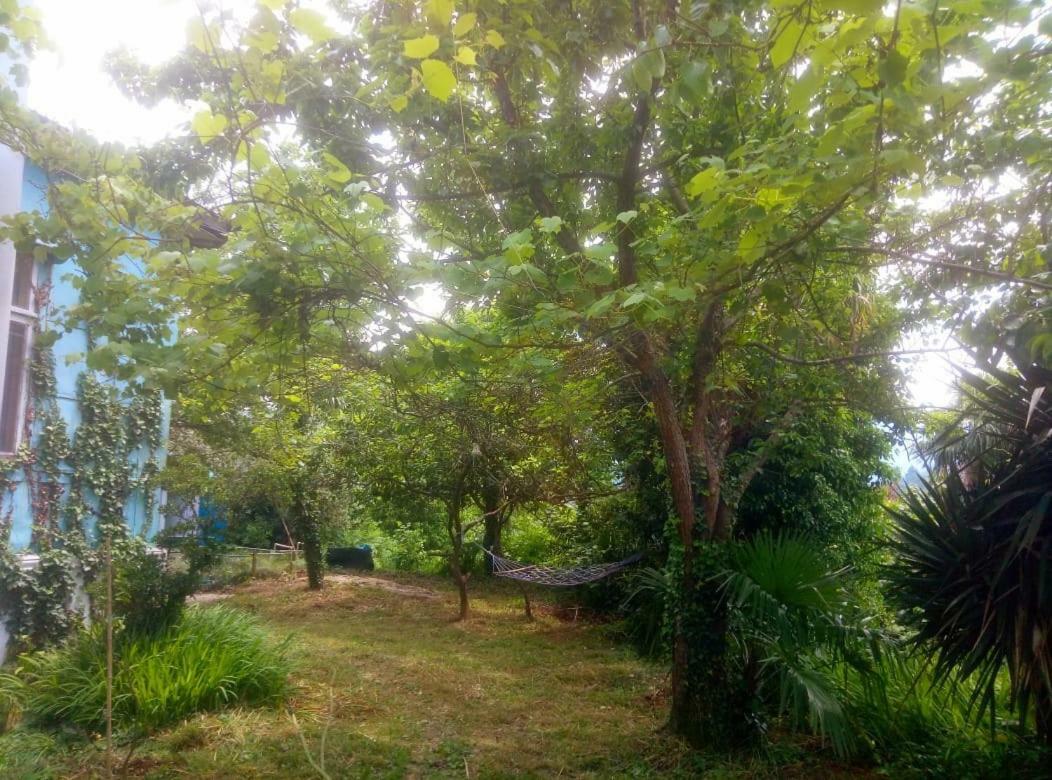 Guesthouse Eco Chakvi Exteriér fotografie