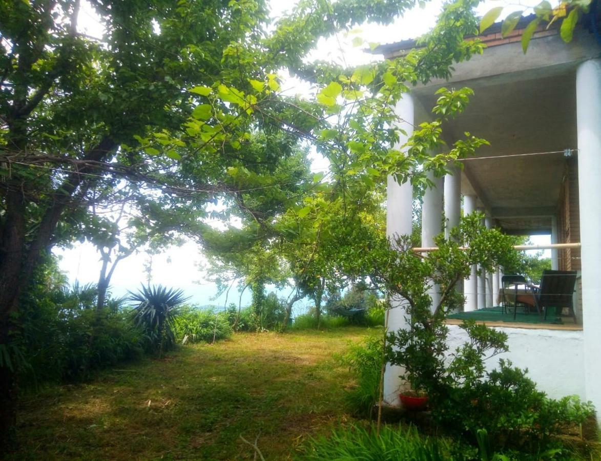 Guesthouse Eco Chakvi Exteriér fotografie